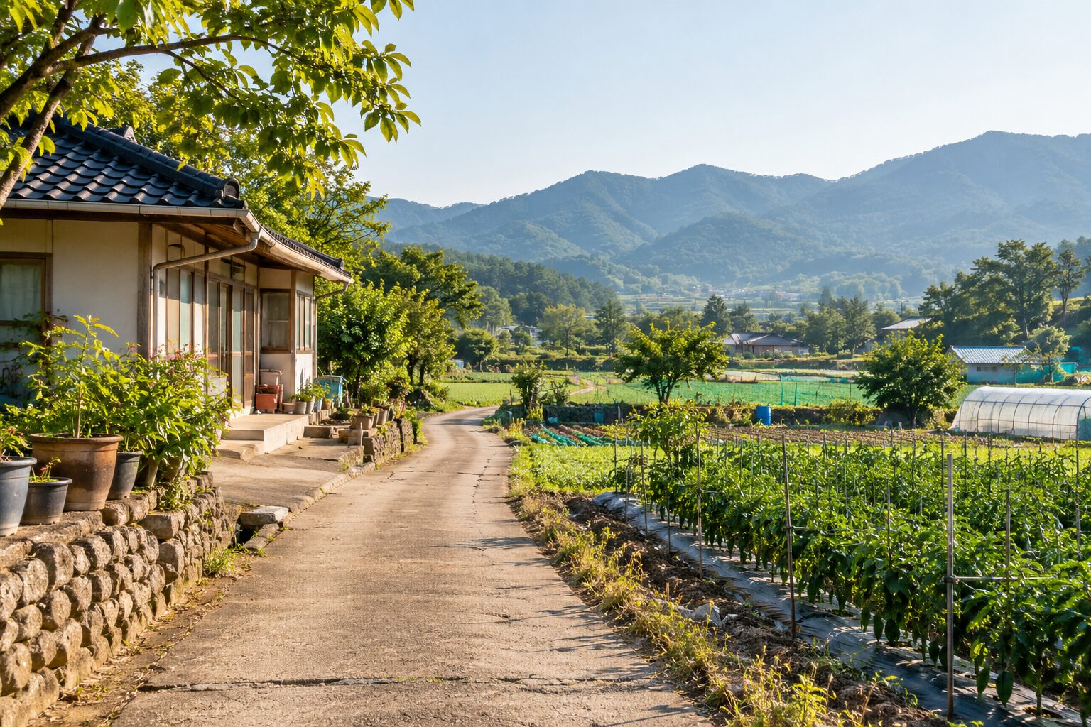 시골집에서 밭으로 이어지는 진입로
